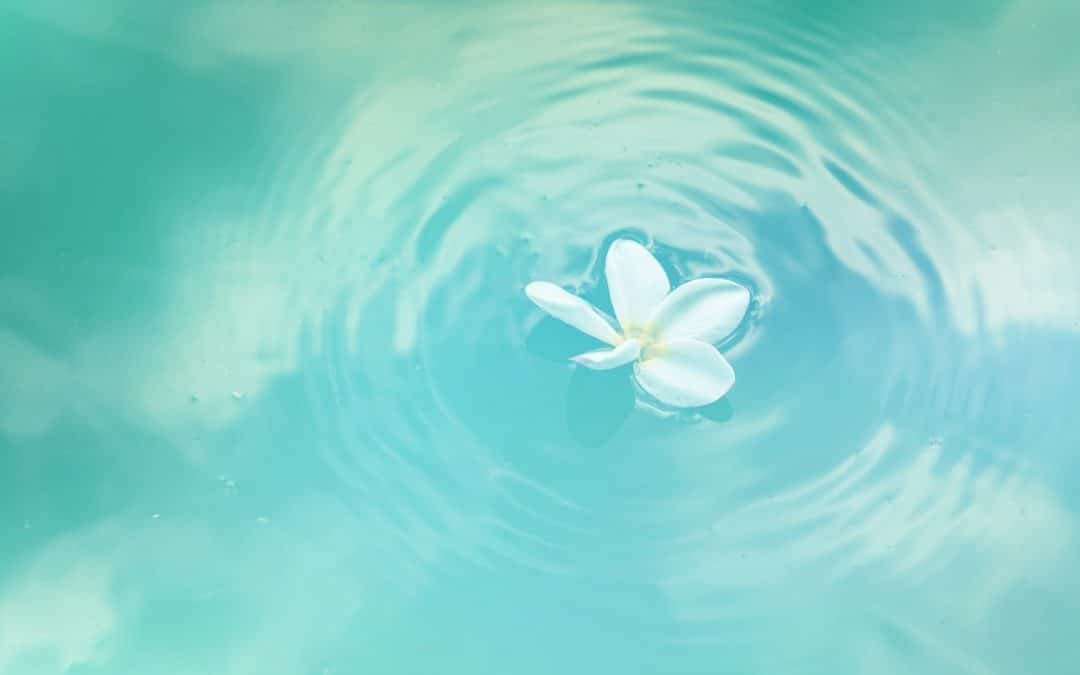 Be the source and not the seeker…