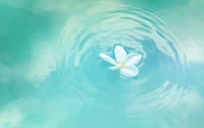 Be the source and not the seeker…