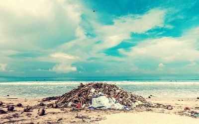 Are you filling your mind with garbage?