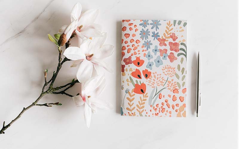 The one exercise I ask all my Clients to do! Start a Gratitude Diary!