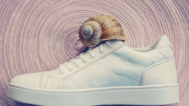 Spiral Energy & Snail Wisdom