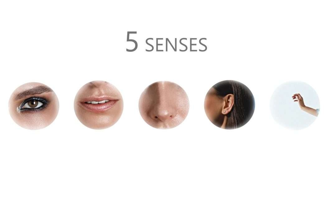 Understanding Sensory Preferences